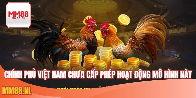 Chính phủ Việt Nam chưa cấp phép hoạt động mô hình này